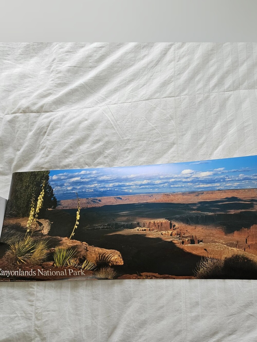 1992 Canyonlands National Park Panoramic Poster Unframed